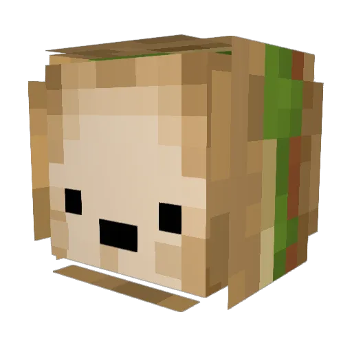Noisemaker27 Minecraft avatar head, 3D render