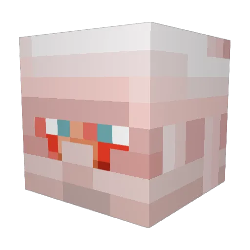 NoisyEcho Minecraft avatar head, 3D render