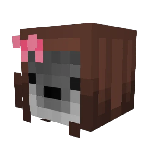 Noizbelle Minecraft avatar head, 3D render
