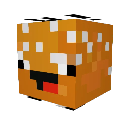 Nojacocha Minecraft avatar head, 3D render