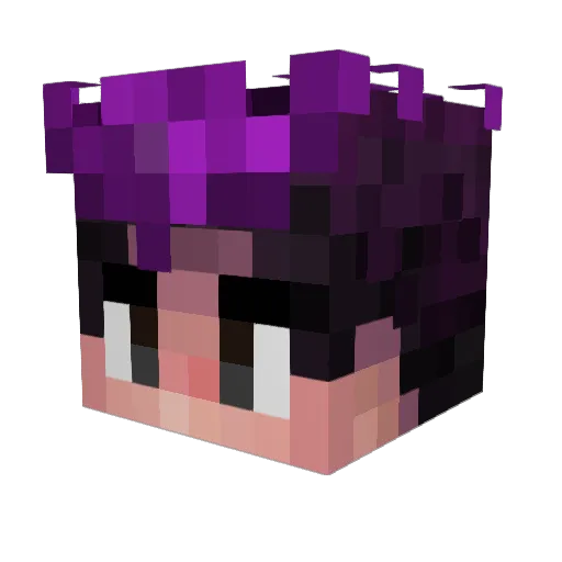 NojerX123 Minecraft avatar head, 3D render