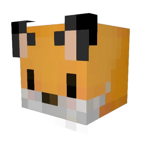 NojeyR Minecraft avatar head, 3D render