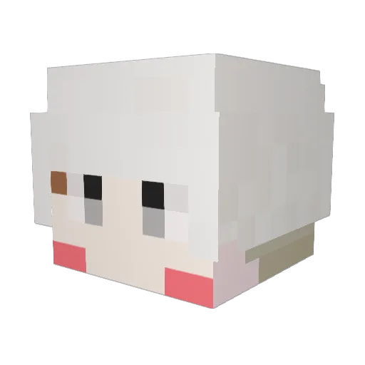 Nojinwoo Minecraft avatar head, 3D render
