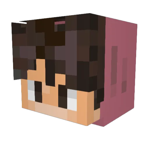 NojkaBojka Minecraft avatar head, 3D render