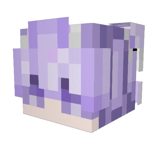 Nojusjo Minecraft avatar head, 3D render