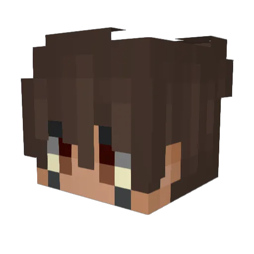 Noka302 Minecraft avatar head, 3D render