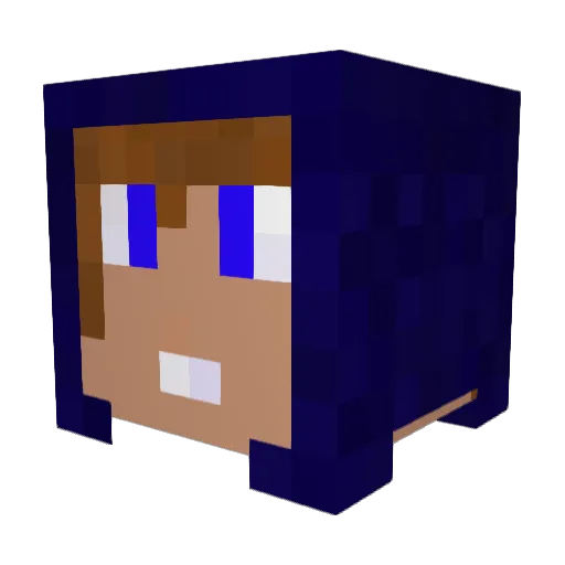 Nokachu Minecraft avatar head, 3D render