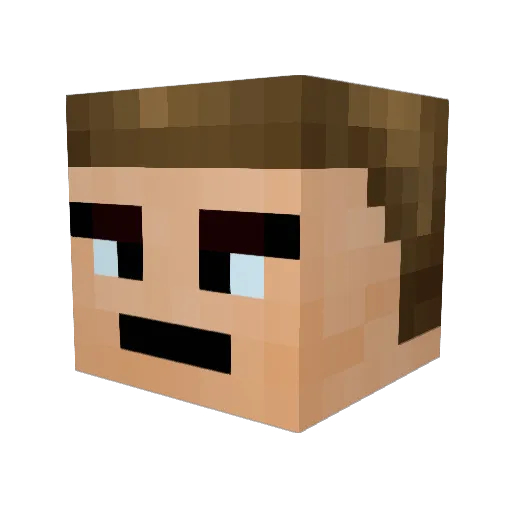 Noken317 Minecraft avatar head, 3D render