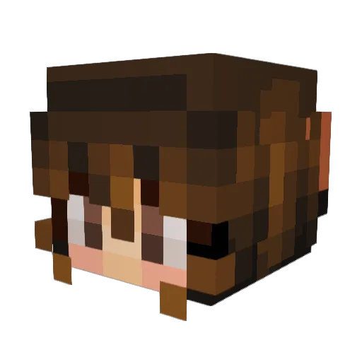 NokiRC Minecraft avatar head, 3D render