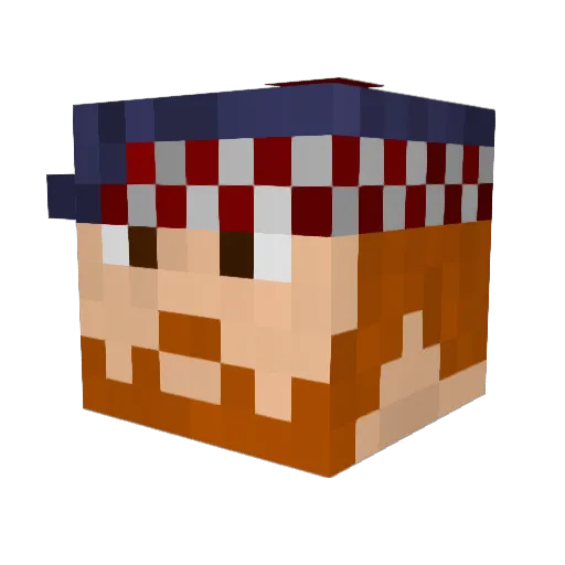 Noki_Nokerson Minecraft avatar head, 3D render
