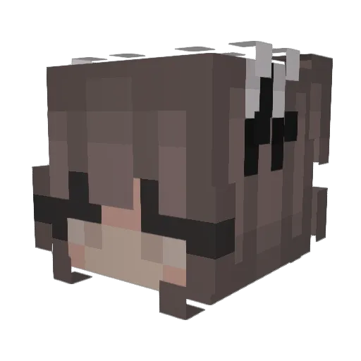 Nokiero Minecraft avatar head, 3D render
