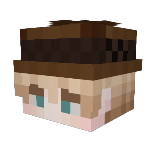 Nokiom Minecraft avatar head, 3D render