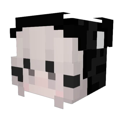 Nokkas11 Minecraft avatar head, 3D render