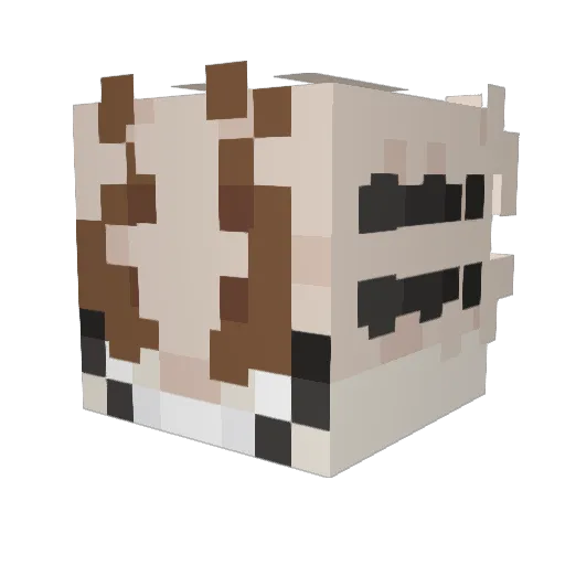 Nokkrux Minecraft avatar head, 3D render