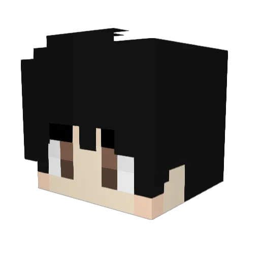 Nokss1900 Minecraft avatar head, 3D render