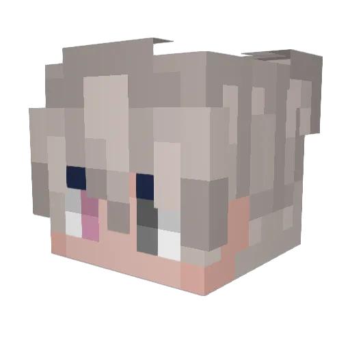 Nokt_Minecraft Minecraft avatar head, 3D render