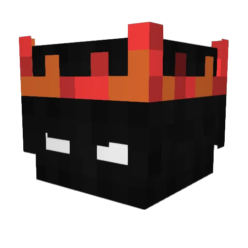 Noky_ Minecraft avatar head, 3D render
