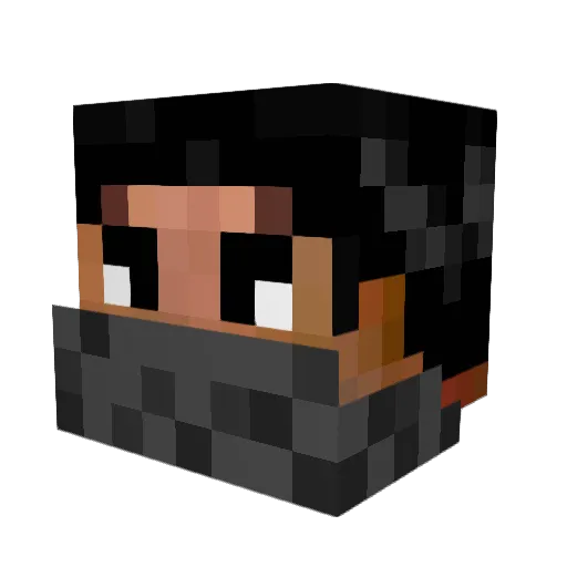 Nol1401 Minecraft avatar head, 3D render