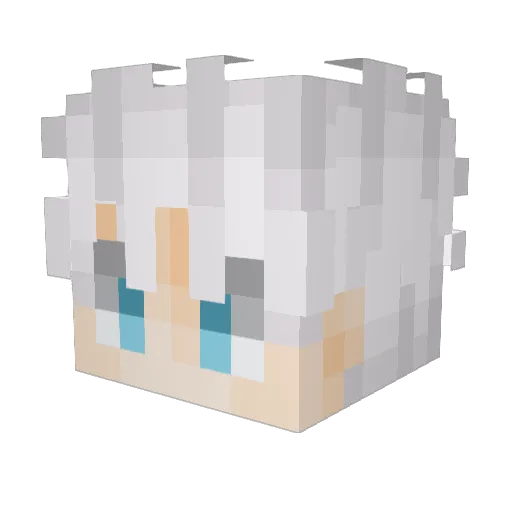 Nol_Pez Minecraft avatar head, 3D render