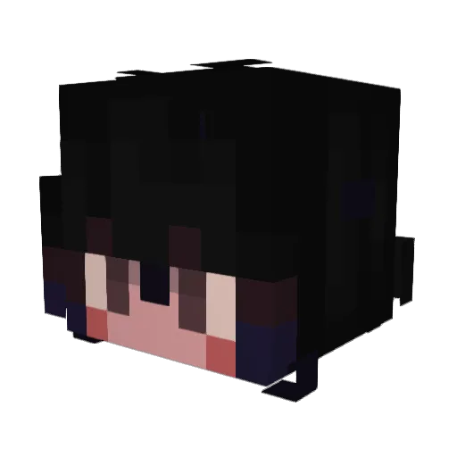 Nola1916 Minecraft avatar head, 3D render