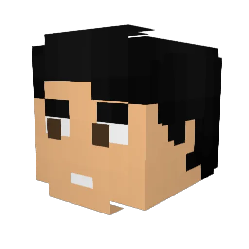 Nolan7009 Minecraft avatar head, 3D render