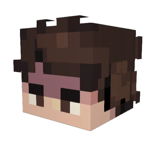 Nolan Minecraft avatar head, 3D render