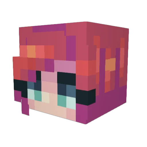Nolan_Walter Minecraft avatar head, 3D render