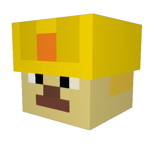Nolanrulesroblox Minecraft avatar head, 3D render