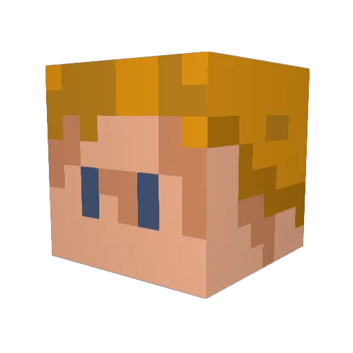 Nole1452 Minecraft avatar head, 3D render