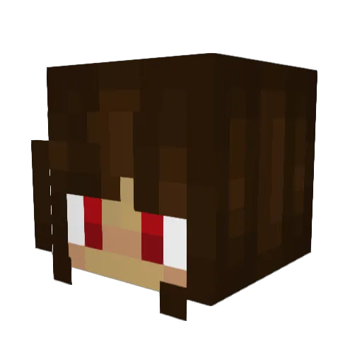 NolePlayz Minecraft avatar head, 3D render