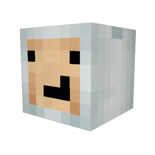 Nolem90 Minecraft avatar head, 3D render