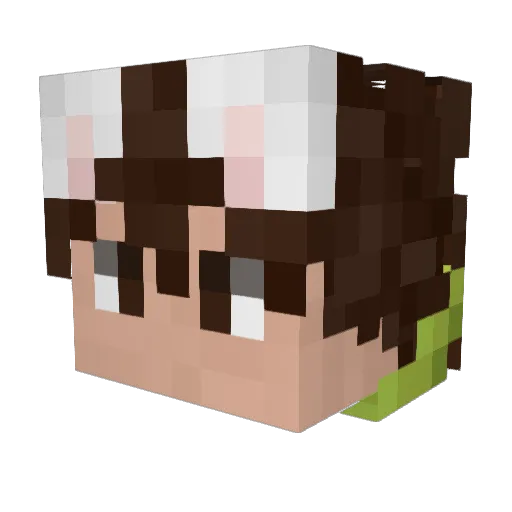 Nolex28 Minecraft avatar head, 3D render