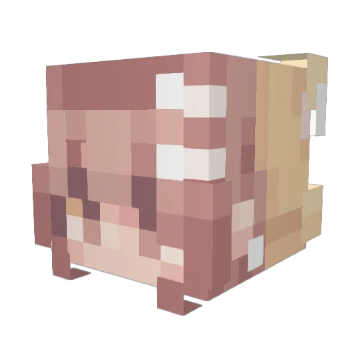 Nolfin Minecraft avatar head, 3D render