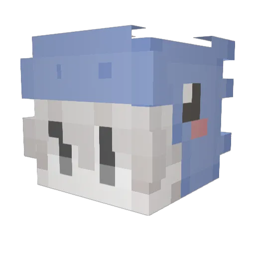 Nolhan21 Minecraft avatar head, 3D render