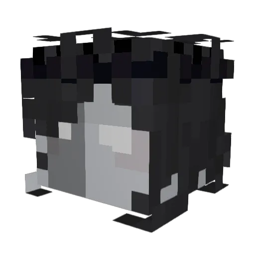 Noli67 Minecraft avatar head, 3D render