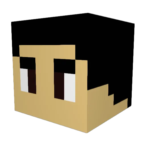 Nolin03 Minecraft avatar head, 3D render