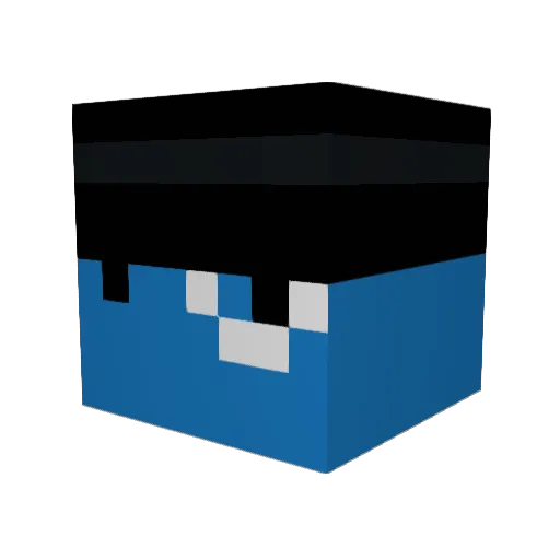 Nolle2011 Minecraft avatar head, 3D render