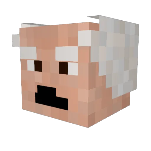 NolloRIMI Minecraft avatar head, 3D render
