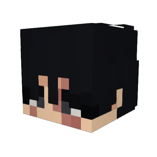 NollyNo Minecraft avatar head, 3D render