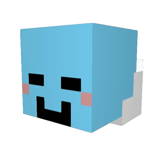 Nolmum_ Minecraft avatar head, 3D render