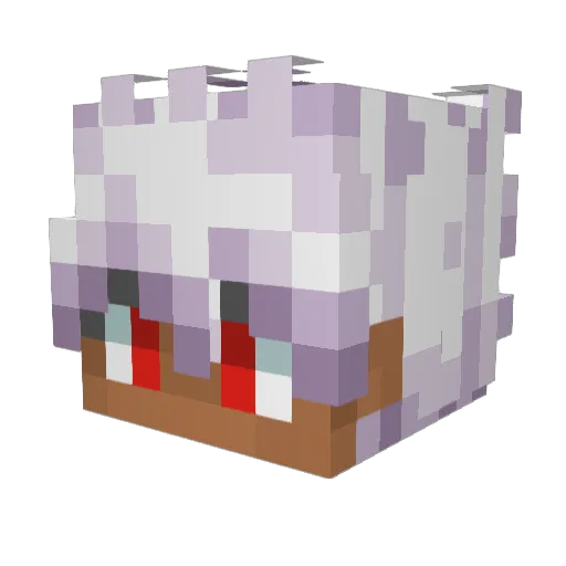 Nolsek Minecraft avatar head, 3D render