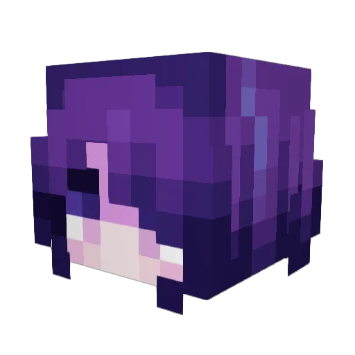 NolyTheWolf Minecraft avatar head, 3D render