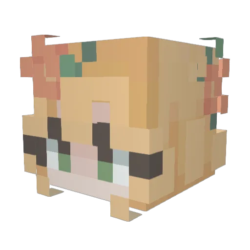Nolyne Minecraft avatar head, 3D render