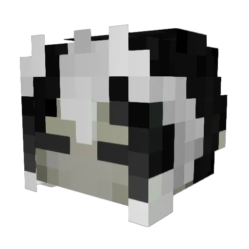 Nolzn Minecraft avatar head, 3D render