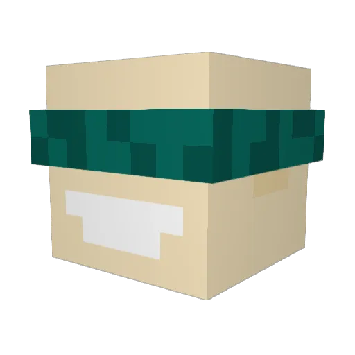 Nom1k Minecraft avatar head, 3D render