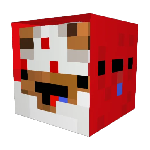 NomNomm Minecraft avatar head, 3D render