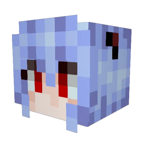 NomTag Minecraft avatar head, 3D render