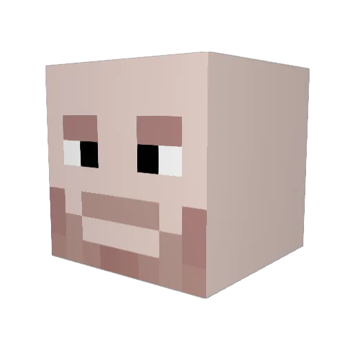 Nom_Nom06 Minecraft avatar head, 3D render