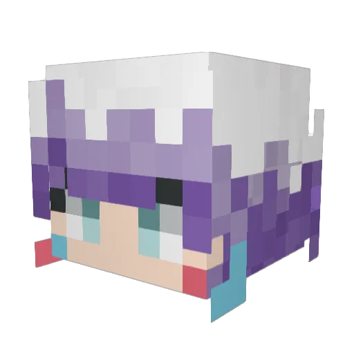 Noma2816 Minecraft avatar head, 3D render