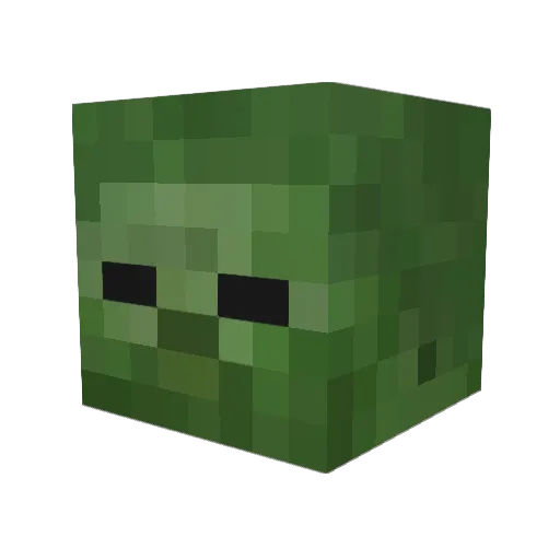 Nomad417 Minecraft avatar head, 3D render